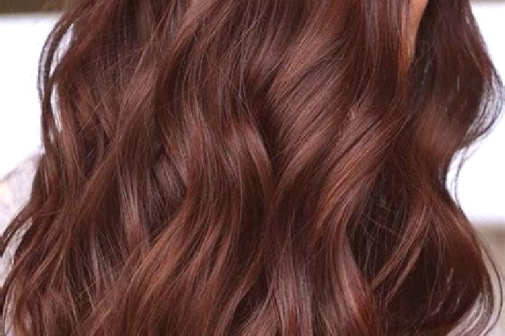 Natalie, 20, a chestnut brown-eyed ebony companion based in Harzhis. Offering A-Level, Massage, OWO. Available for incall and outcall, day and evening dates.