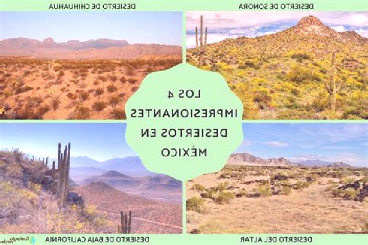 Natalie, 20 — Escort in El Desierto, Mexico