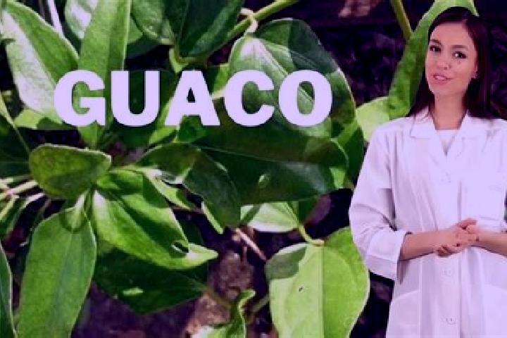 Natalie, 20 — Escort in El Huaco, Mexico