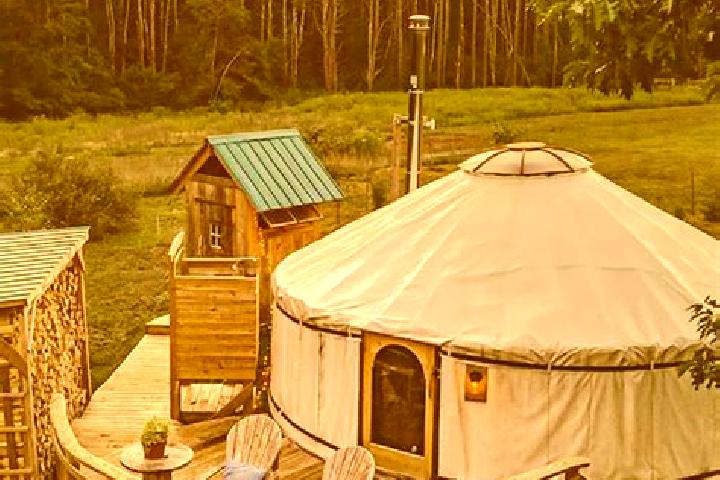 Natalie, 20 — Escort in Nogamerzin-Yurt, Russia