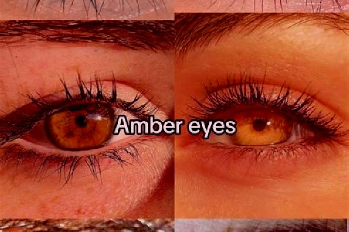Natalie, 22, a chestnut amber-eyed caucasian companion based in Orden. Offering Deep French Kissing, Erotic Massage, OWO, Duos, Dinner Date. Available for in...