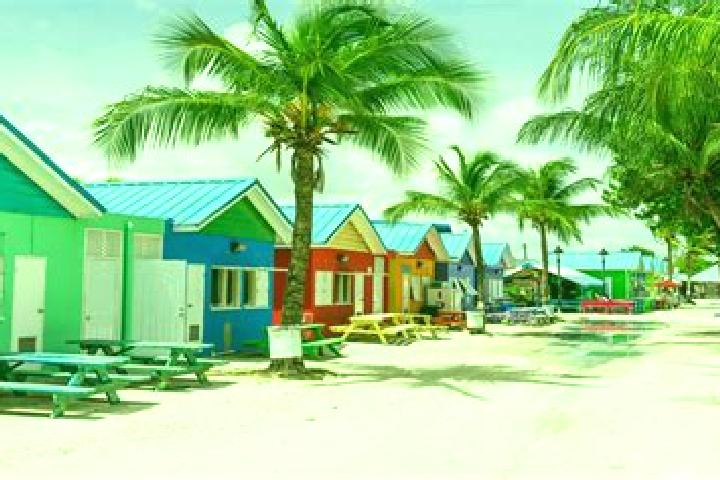 Natalie, 22 — Escort in Blackmans, Barbados