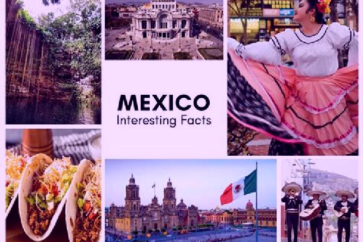Natalie, 22 — Escort in Nuevo Mundo, Mexico
