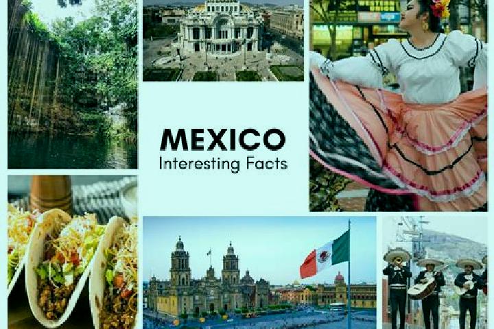 Natalie, 22 — Escort in Paso Blanco, Mexico