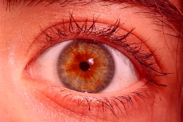 Natalie, 23, a red hazel-eyed european companion based in Schwabsoien. Offering BDSM, CIM, A-Level. Available for incall and outcall, day and evening dates.