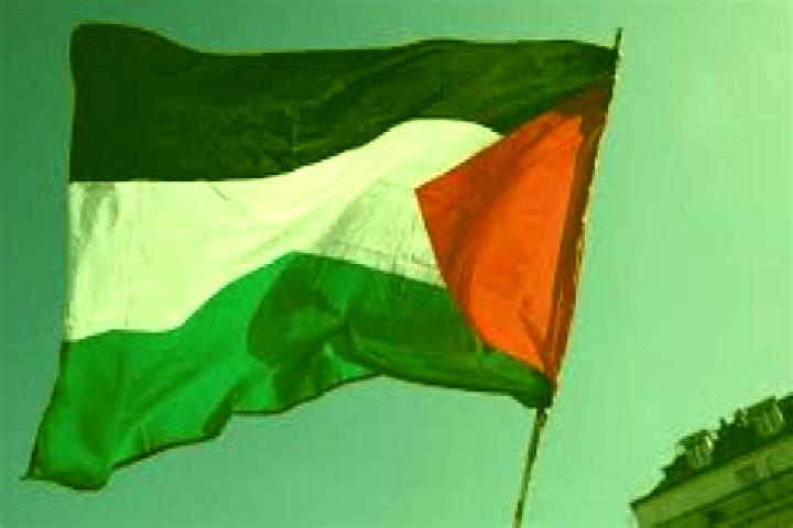 Natalie, 24 — Escort in Az Zahiriyah, Palestine