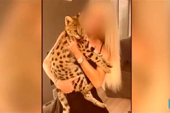 Natalie, 24 — Escort in Felines, France