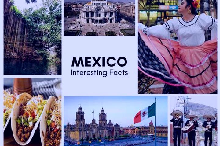 Natalie, 24 — Escort in Mexiquito, Mexico