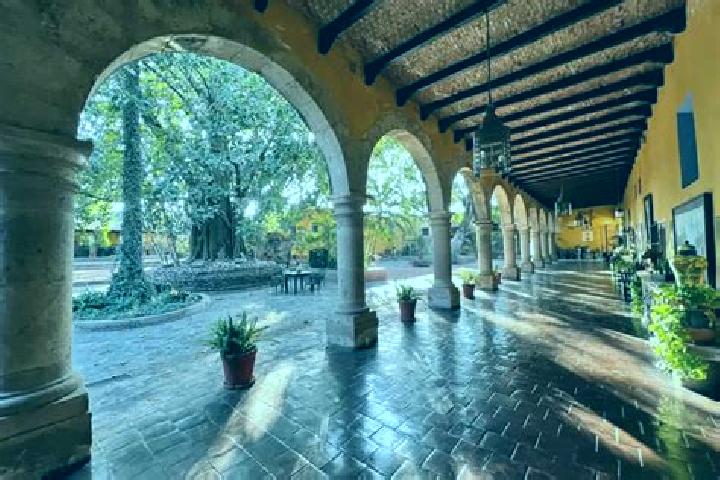Natalie, 25 — Escort in Tepoztlan, Mexico