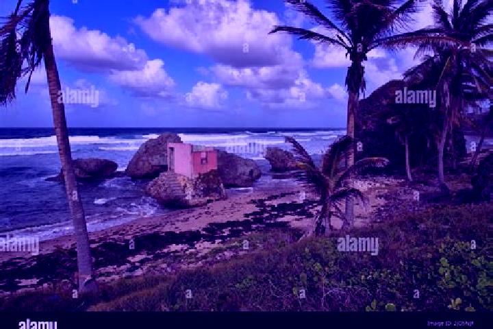 Natalie, 26 — Escort in Bathsheba, Barbados