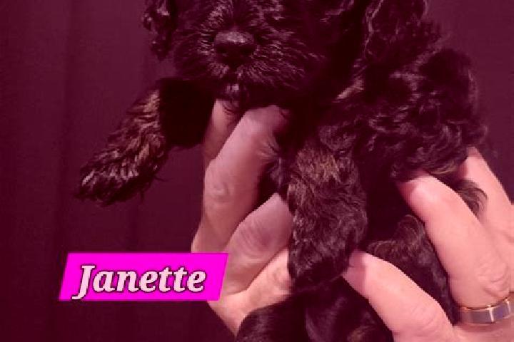 Natalie, 26 — Escort in Ormeau, Australia