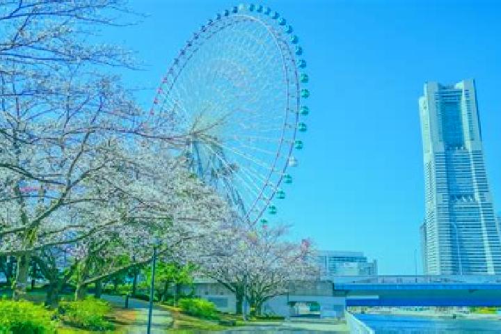 Natalie, 27 — Escort in Minatomirai, Japan