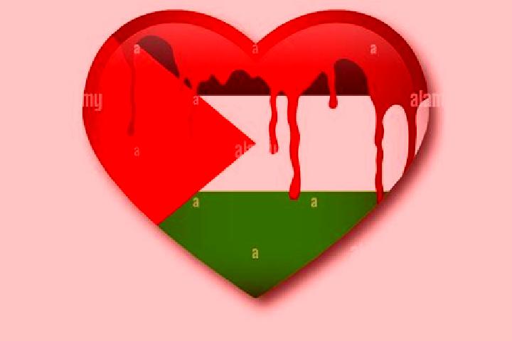 Natalie, 28 — Escort in Kurzah, Palestine