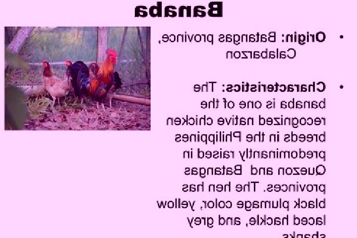 Natalie, 29 — Escort in Banaba, Philippines