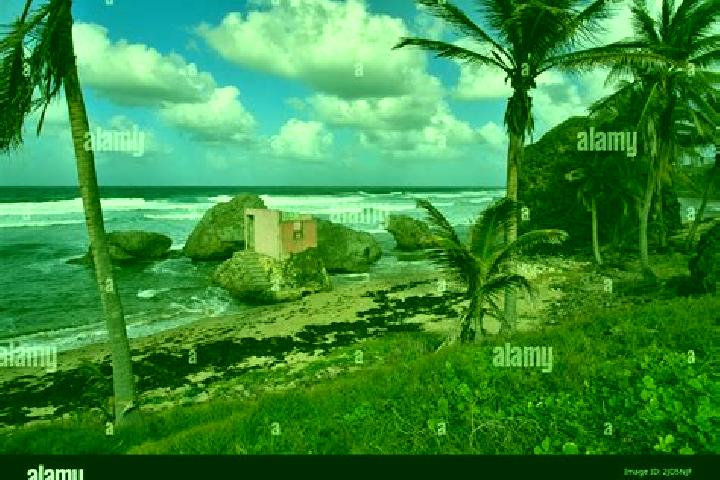 Natalie, 29 — Escort in Bathsheba, Barbados