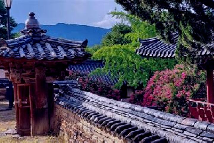 Natalie, 30 — Escort in Dodong-ri, South Korea