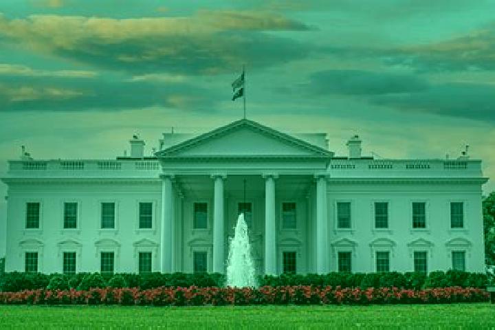 Natalie, 30 — Escort in White House, United States