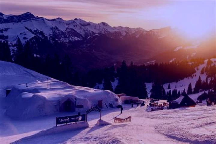 Natalie, 31 — Escort in Gstaad, Switzerland