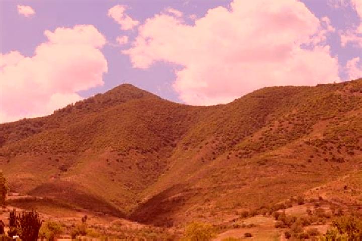 Natalie, 31 — Escort in Maguey Largo, Mexico
