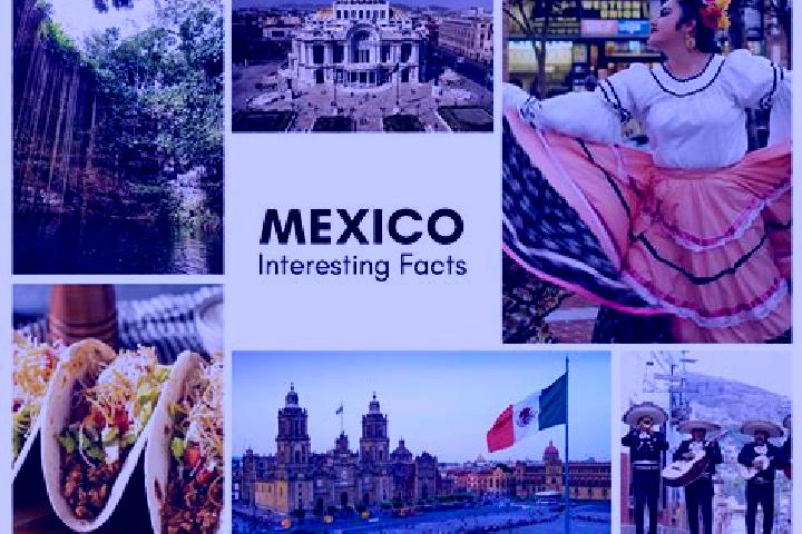 Natalie, 32 — Escort in Pacheco, Mexico