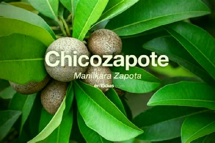 Natalie, 32 — Escort in Zapote de Peralta, Mexico