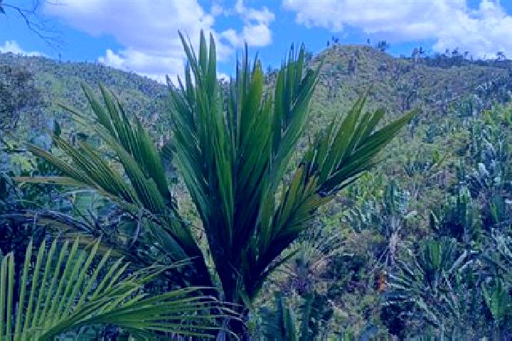 Natalie, 33 — Escort in Ifanadiana, Madagascar