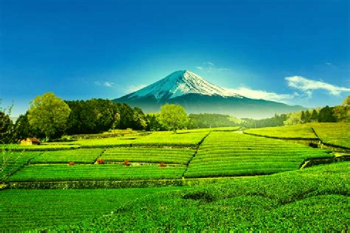 Natalie, 33 — Escort in Obuchi, Japan