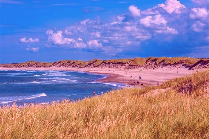 Natalie, 35 — Escort in Herning, Denmark