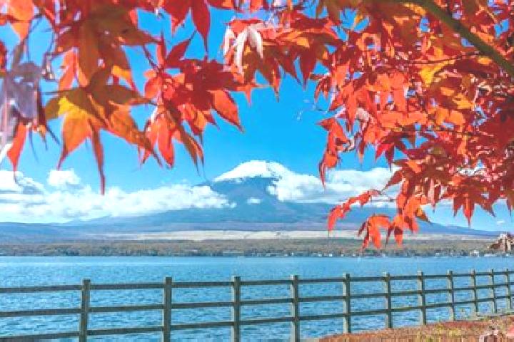Natalie, 35 — Escort in Kuromatsunai, Japan