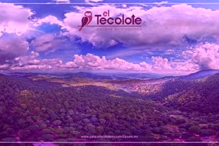 Natalie, 36 — Escort in Colonia Hidalgo (El Tecolote), Mexico