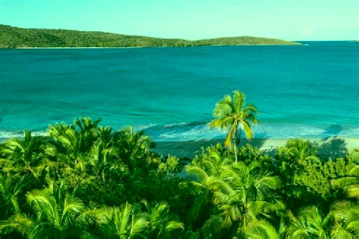 Natalie, 36 — Escort in Culebra, Puerto Rico