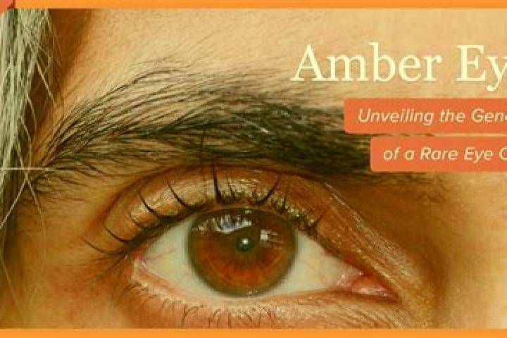 Natalie, 37, a red amber-eyed caucasian companion based in Wommels. Offering Deep French Kissing, Roleplay, Fetish, Duos, Tantra. Available for incall and ou...
