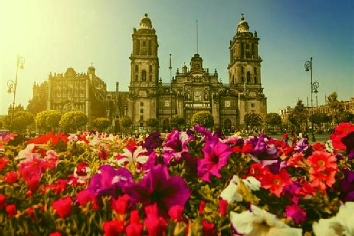 Natalie, 37 — Escort in Ciudad Cuauhtemoc, Mexico