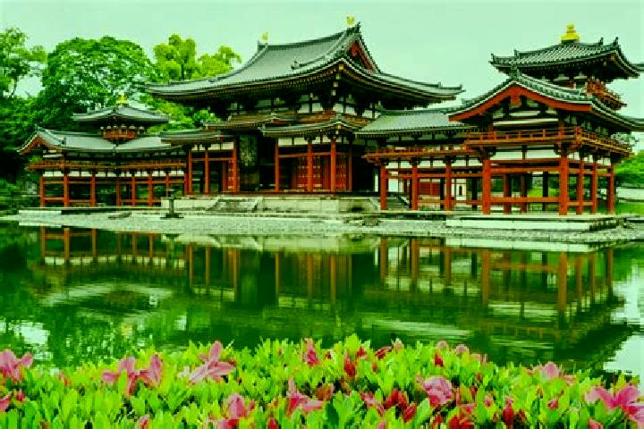Natalie, 37 — Escort in Heian, Japan