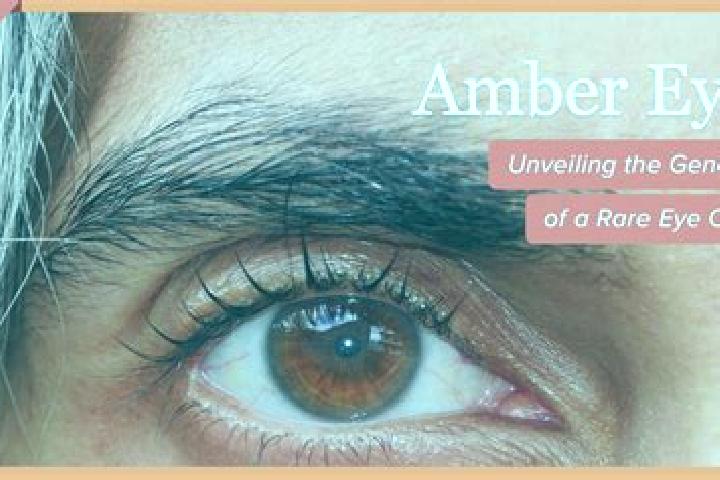 Natalie, 38, a black amber-eyed indian companion based in La Puerta de Guamuchil. Offering Roleplay, Domination, Couples, A-Level. Available for incall and o...