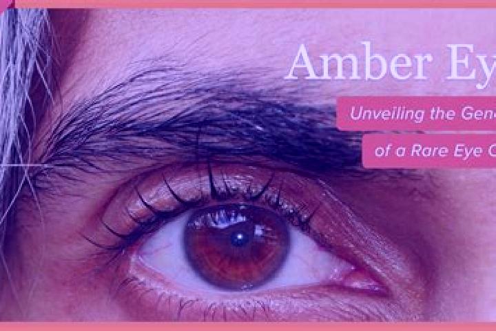 Natalie, 38, a black amber-eyed indian companion based in Las Haldas. Offering Striptease, Roleplay, Duos. Available for incall and outcall, overnight bookin...