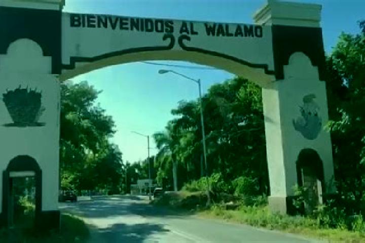 Natalie, 39 — Escort in El Walamo, Mexico