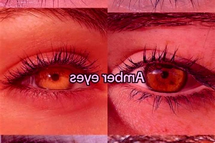 Nora, 20, a chestnut amber-eyed slavic companion based in Anceaumeville. Offering Dinner Date, OWO, Duos. Available for incall and outcall, day and evening d...