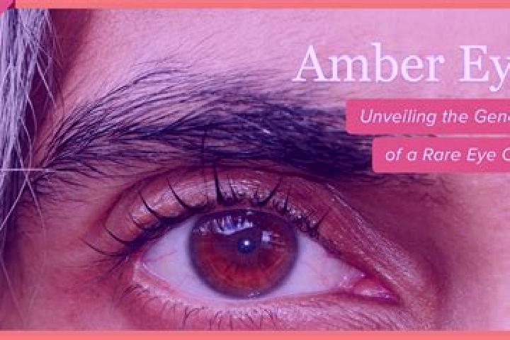 Nora, 20, a red amber-eyed caribbean companion based in Kusatsu. Offering Roleplay, CIM, Party Girl, OWO. Available for incall and outcall, overnight booking...