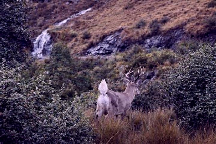 Nora, 20 — Escort in El Venado, Mexico