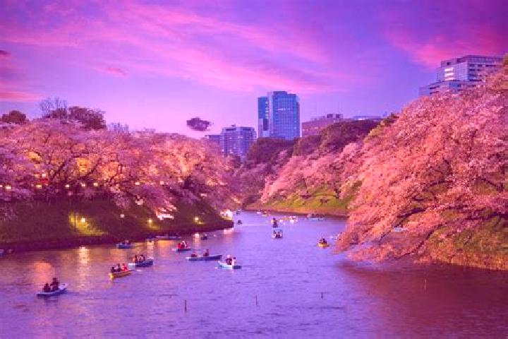 Nora, 20 — Escort in Komagome, Japan