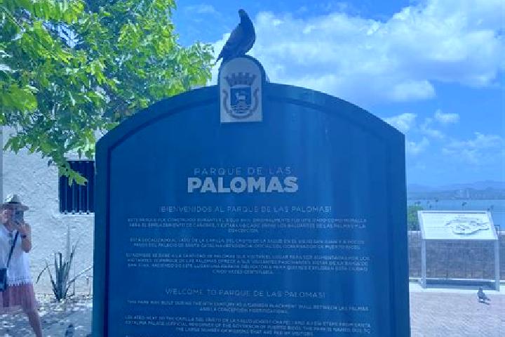 Nora, 20 — Escort in Palomas, Puerto Rico