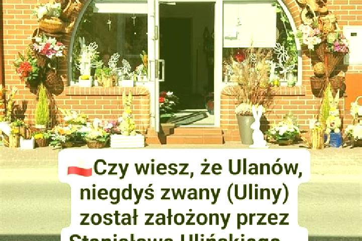 Nora, 20 — Escort in Rudnik Pierwszy, Poland