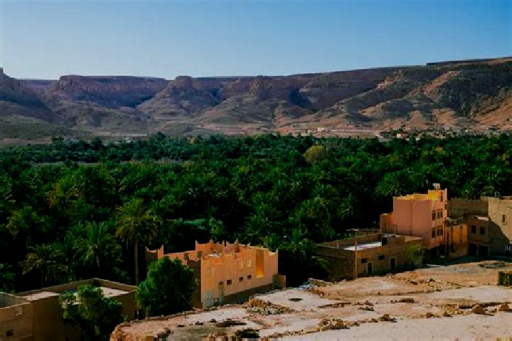 Nora, 20 — Escort in Zagora, Morocco