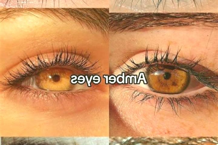 Nora, 21, a brunette amber-eyed slavic companion based in Breezy Castle. Offering OWO, Domination, 69, Dinner Date. Available for incall and outcall, day and...