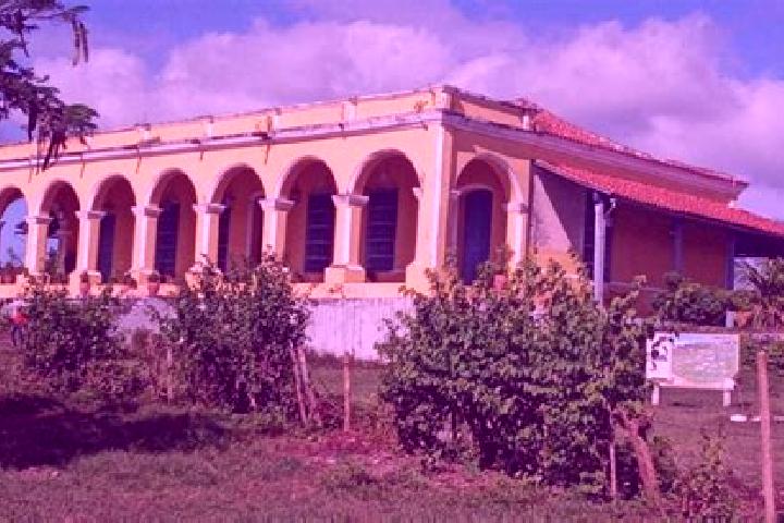 Nora, 21 — Escort in Guaimaro, Cuba