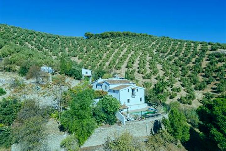 Nora, 22 — Escort in El Cortijo, Mexico