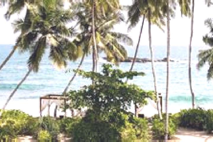 Nora, 22 — Escort in Tangalle, Sri Lanka