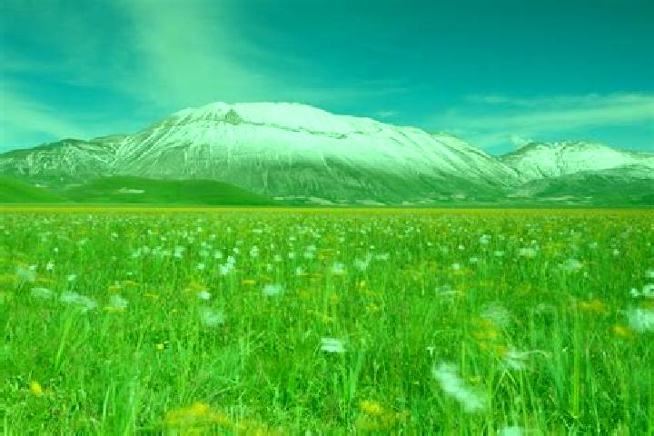Nora, 23 — Escort in Castelluccio dei Sauri, Italy