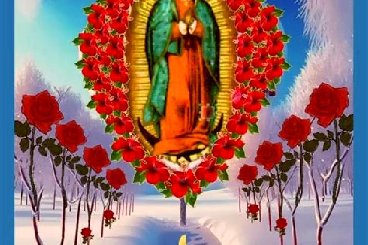 Nora, 23 — Escort in Guadalupe, Brazil